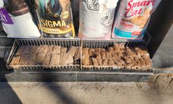 Eskişehir soğuklarında sokak hayvanları için kritik adım!