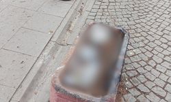 Eskişehir'de çevre hiçe sayıldı: Çöplüğe döndürdüler!