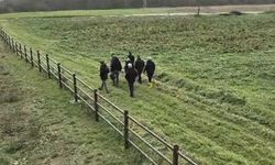 Bilecik'te 20 yıllık cinayet gün yüzüne yeni çıktı!