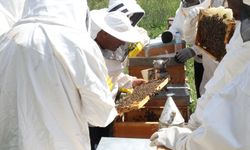 Eskişehir'deki eğitimin kayıtları başlıyor: Başvuru şartları neler?