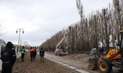 Eskişehir Sazova Parkı'nda 2 hafta sürecek çalışma!
