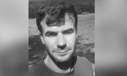 Kütahya'da acı ölüm: Tomruk biçme makinesinin üzerine düştü!