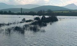Bilecik'te korku dolu anlar: Son anda kurtarıldılar!