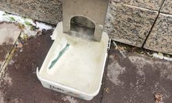 Eskişehir’de dondurucu soğuk sokaktaki canları zorluyor