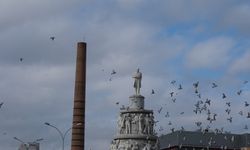 Eskişehir Ulus Anıtı'nda kuşlardan kartpostallık görüntü!