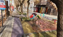 Eskişehir’in en işlek caddesinde ekipler çevre için sahaya indi!