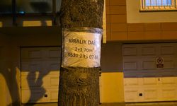 Eskişehir’de pes dedirten görüntü: Vatandaş isyan etti!