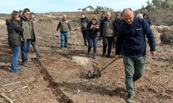 Seyitgazi'deki yangın alanları yeşillendirilecek!