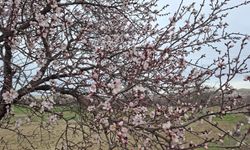 Eskişehir hava durumunda aldatan sıcaklık!