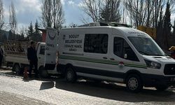 Bilecik'te park halindeki araçta öğretmen ölü bulundu!