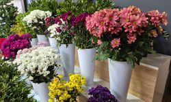 Eskişehir’de 8 Mart öncesi yoğun mesai başladı!