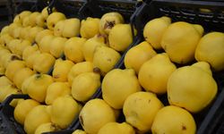 Ayaz vurdu, fiyatı 250 TL’ye dayandı!