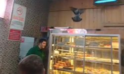 Eskişehir'de iftar vakti güvercin paniği!