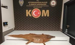 Afyon'da polisin durdurduğu araçtan çıkan şey şaşırttı!