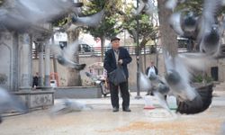 Bilecik'te her gün besliyor, bayramda da koşarak geldi