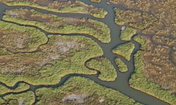 Gediz Nehri kirliliği izleniyor: İzmir Körfezi ve tarım tehlikede!