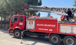 Bilecik'te ağaçta mahsur kaldı, ekipler yardımına koştu!