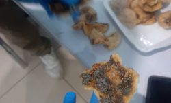 Halk sağlığıyla oynamaktan vazgeçmiyorlar: Bu seferde incir...