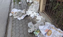 Eskişehir' yakışmayan görüntü: Çöplük gibi kullandılar!