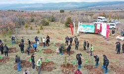 Mihalıççık’ta 100 fidan toprakla buluştu