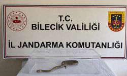 Nesli tehlikedeki piton Bilecik'te yakalandı