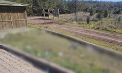 Eskişehir'de utandıran görüntü: Tepkiler büyüyor!