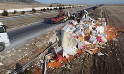 Devrilen tırda 27 ton havuç çevreye saçıldı!
