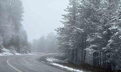 Domaniç Dağı'nda kar yağışı