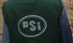 DSİ işçi alımı kura sonuçları yayımlandı mı? İşte branş ve kadro detayları