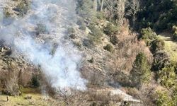 Bilecik'te temizlik için yakılan otlar, yangın sanıldı!