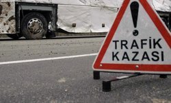 Afyon'da ağaca çarpan otomobilde 2 kişi yaralandı