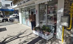 Eskişehir'de çiçek hırsızlığı tepki çekti!