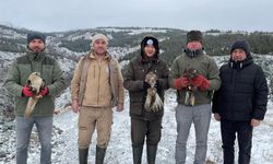 Eskişehir Hayvanat Bahçesi yaralı kuşları doğaya saldı