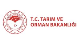 Bakanlık'tan esnafa yeni düzenleme!