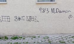 Eskişehir'de izinsiz yazılar tepki çekiyor