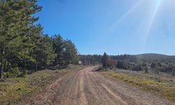 Eskişehir'de spor yaparken ölümden döndü!