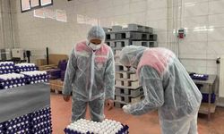 Yumurta paketlemesi yapan işletmelere denetim