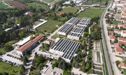 ESKİ’den çevreye dev katkı: 34 bin ağaç kurtarıldı!