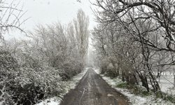 Bahar beklenirken kış geri döndü!