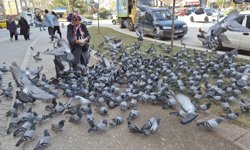 Eskişehir'de güvercin sürüsü yaşlı kadını sardı