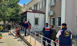 Afyon'da genç kadının ölümü intihar sanıldı: Gerçek yeni ortaya çıktı!