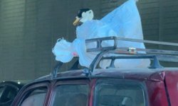 Eskişehir trafiğinde taşınan canlı görenleri şoke etti!