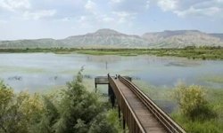 'Nilüfer Cenneti'nde kaçak avcılığa 'dur' denildi