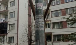 Eskişehir'de direkler ilan panosuna döndü!