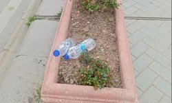 Eskişehir'de saksı çöplüğe döndü!