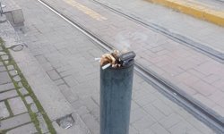 Eskişehir'de tramvay durağında izmarit birikimi dikkat çekti