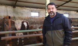 Eskişehir'de kurbanlık almak için geç kalmayın!