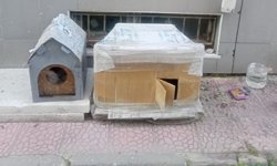 Eskişehir'de sokak hayvanları için alan