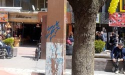 Eskişehir'deki direklerde izinsiz boya!