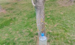 Eskişehir'de parkta duyarlı davranış